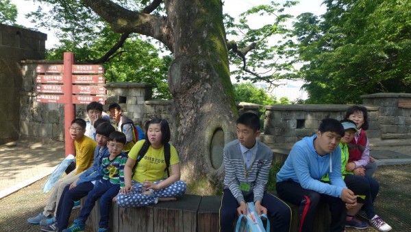 P1010301.jpg