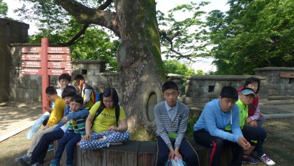 P1010302.jpg