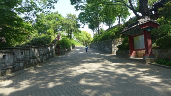P1010303.jpg