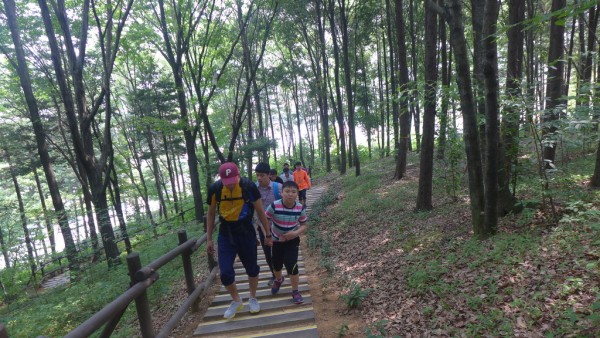P1010331.jpg