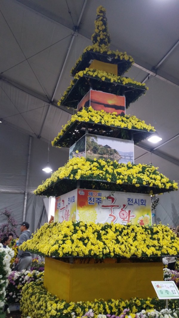 20141108_111245.jpg