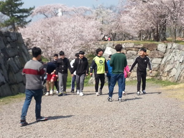20170408_104924.jpg